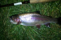 Big Spring